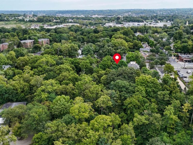 1239 Springfield Pike, Wyoming, OH 45215 Photo 6