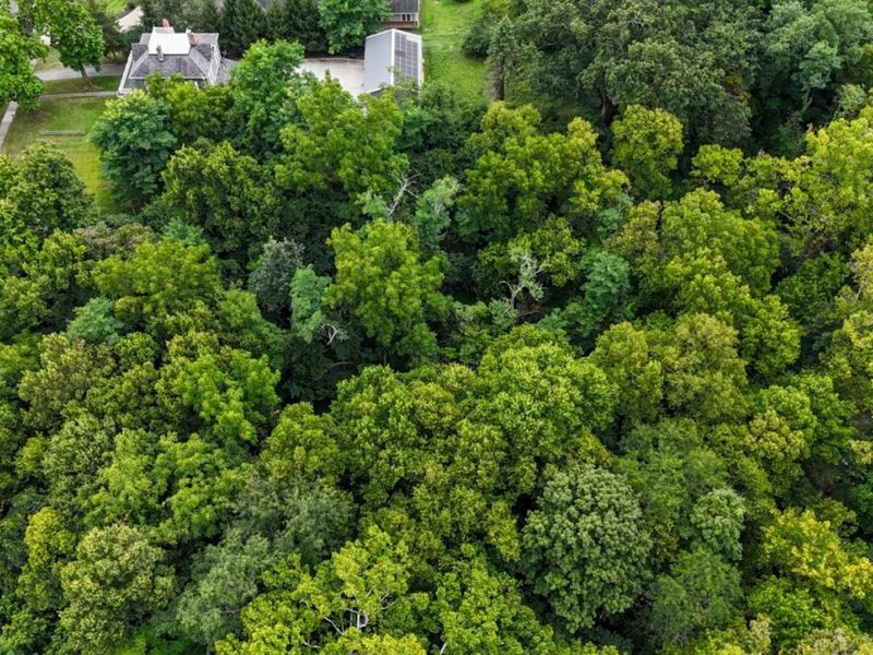 1239 Springfield Pike, Wyoming, OH 45215 Photo 7