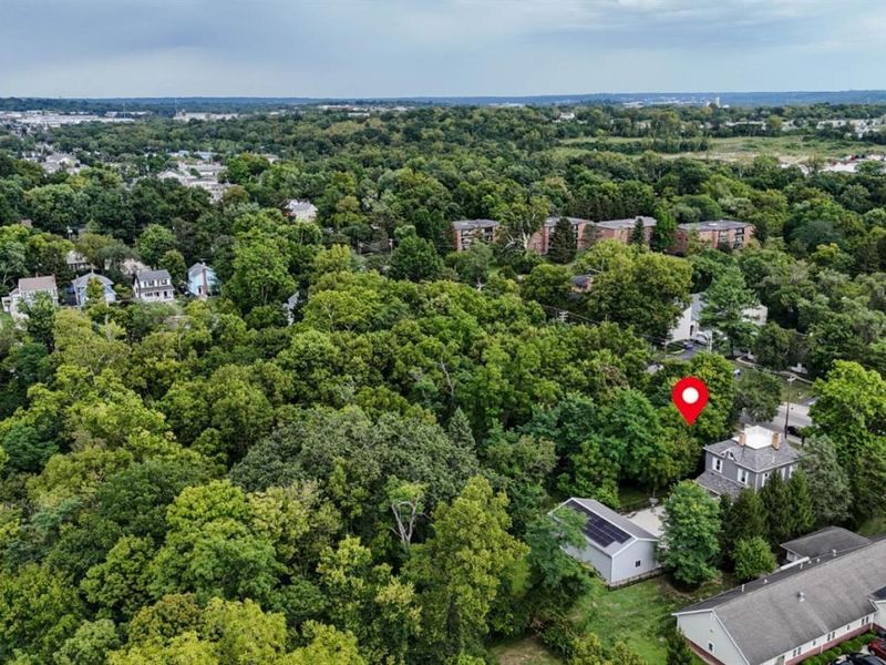 1239 Springfield Pike, Wyoming, OH 45215 Photo 9