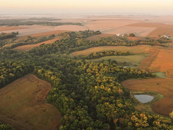 0000 N DAILY Road, Princeville, IL 61559