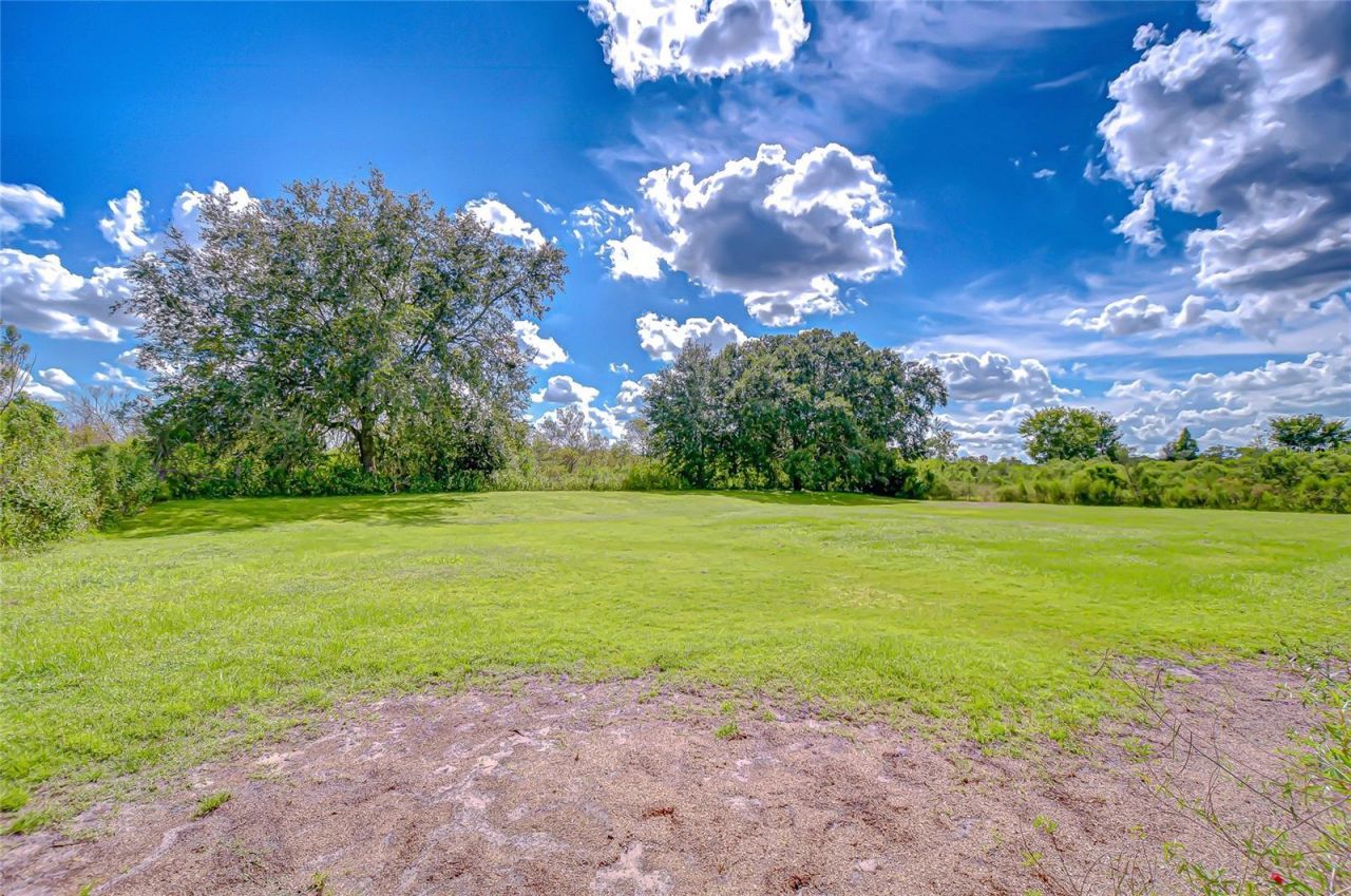 43650 County Road 54 E, Kathleen, FL 33849 Photo