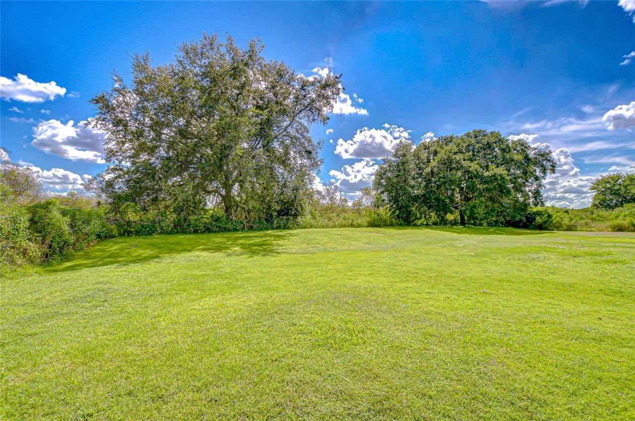 43650 County Road 54 E, Kathleen, FL 33849 Photo