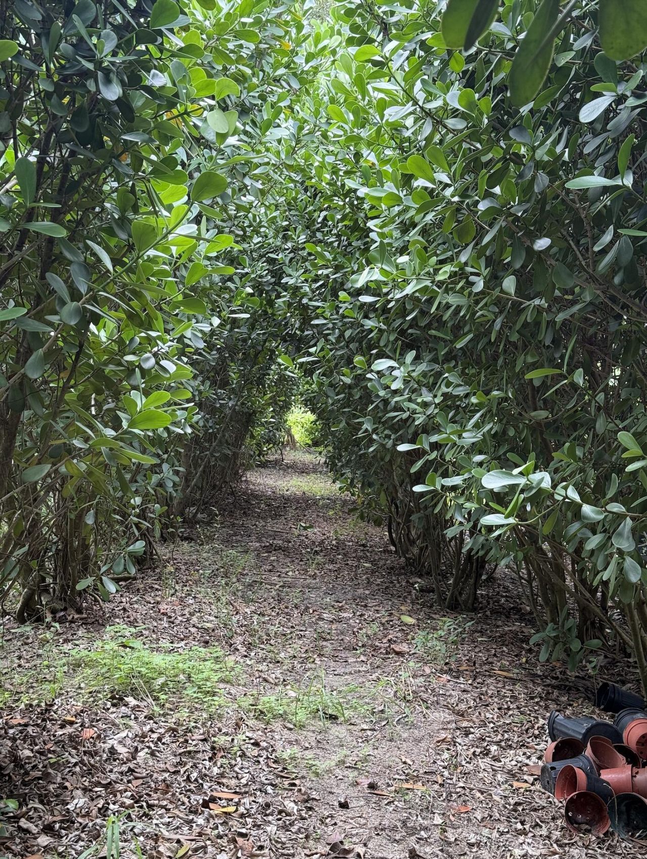 6951 Carol Street Sw, Loxahatchee, FL 33470 Photo