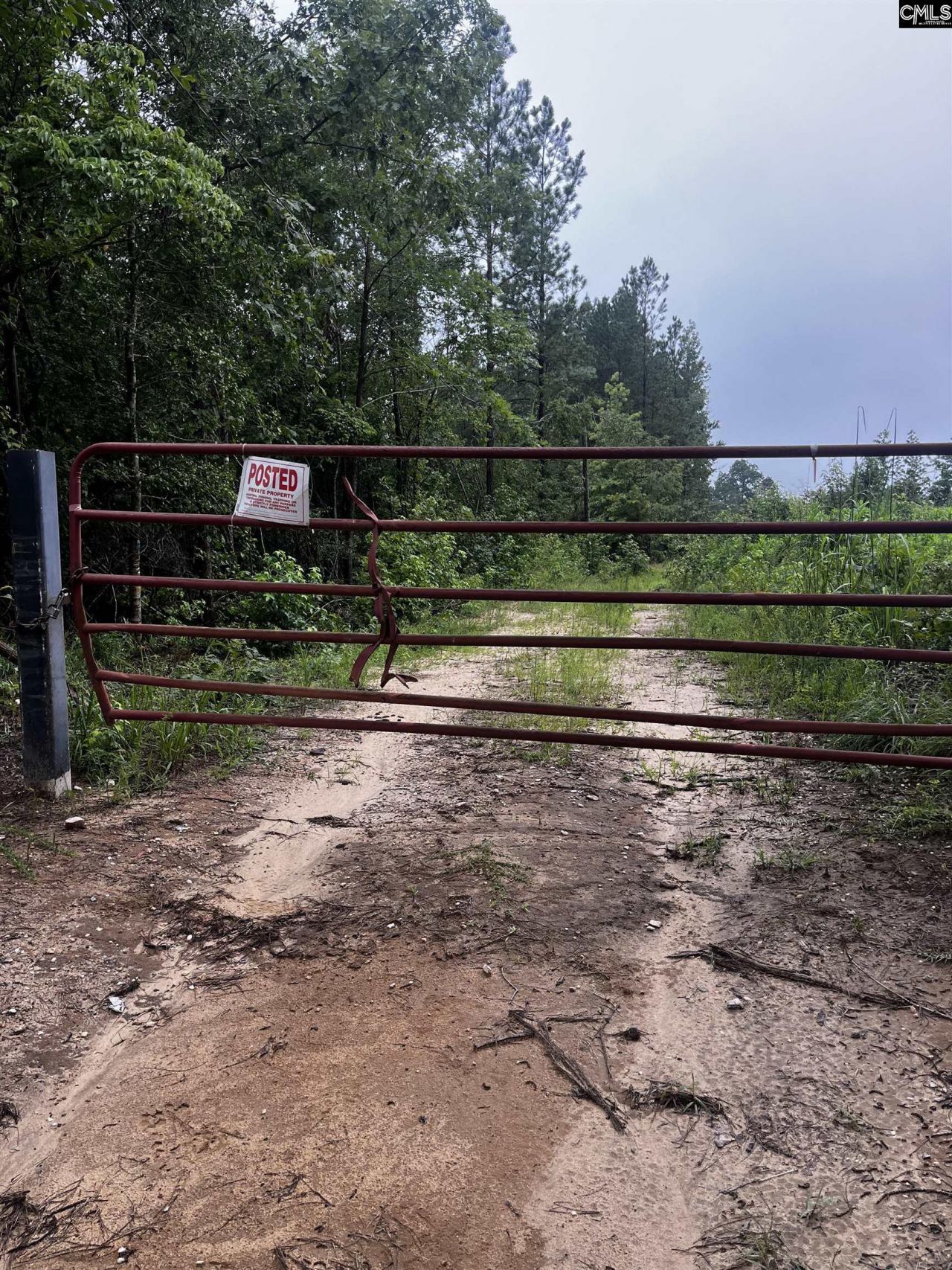 703 Neds Creek Road  Photo 10