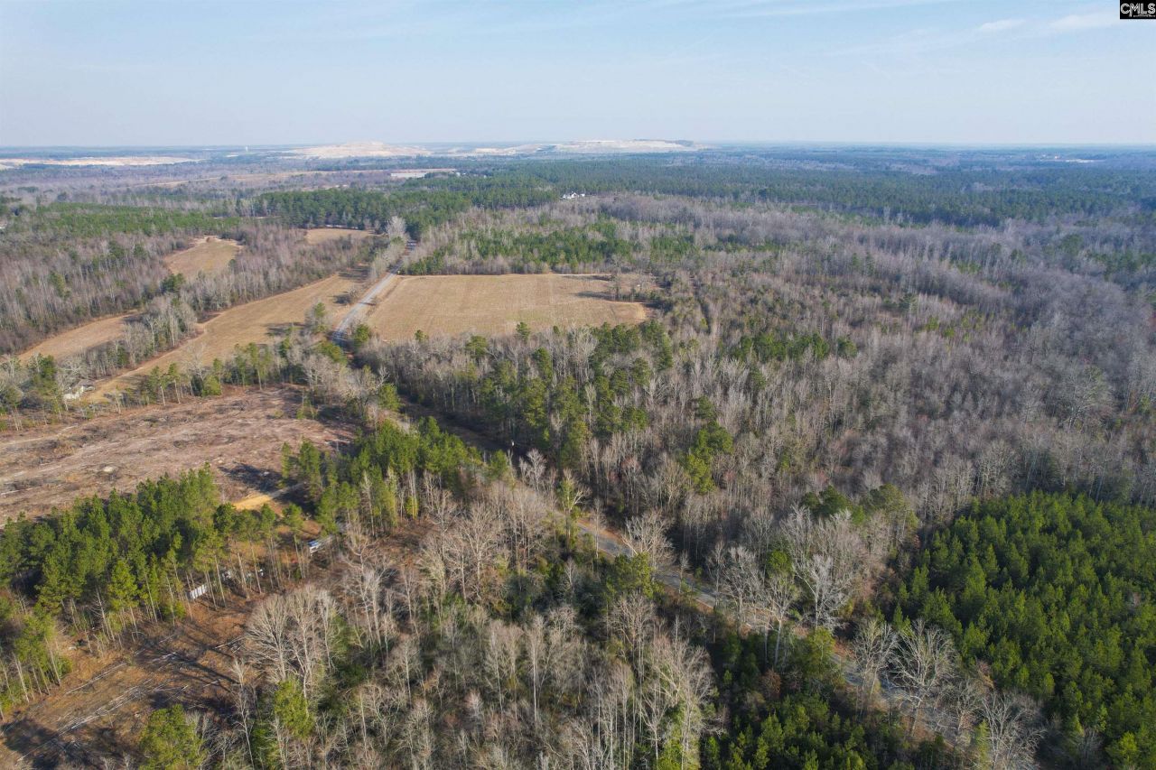 703 Neds Creek Road  Photo 12