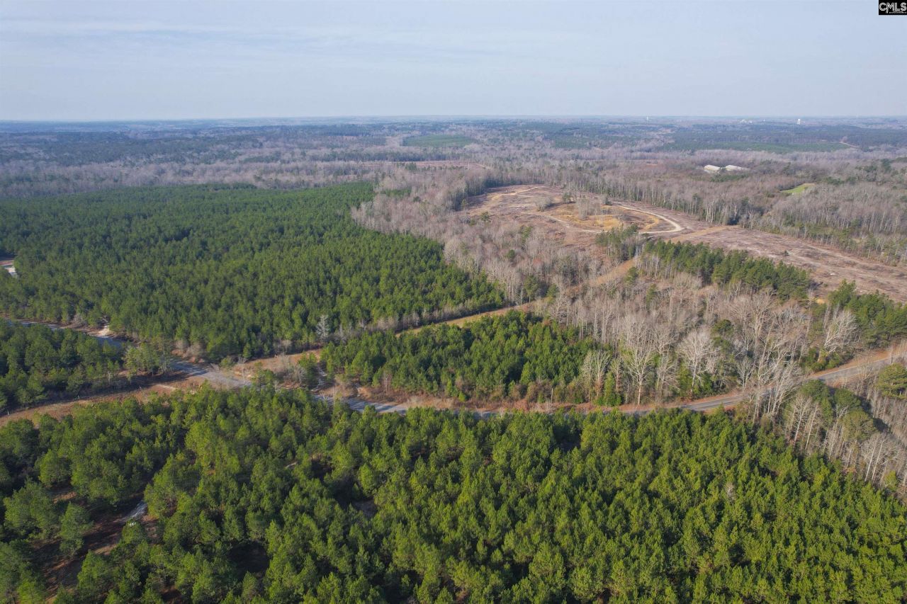 703 Neds Creek Road  Photo 14