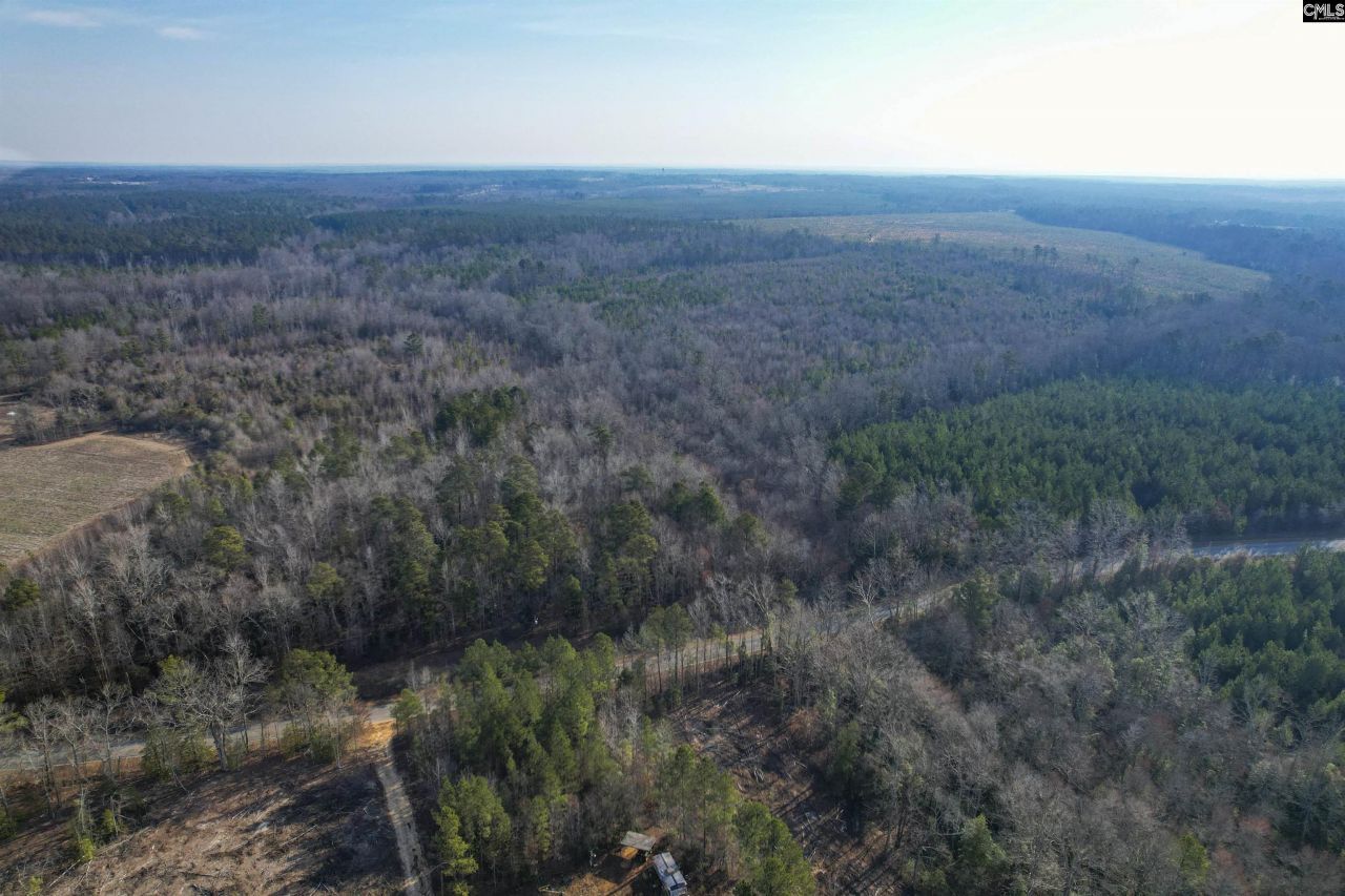 703 Neds Creek Road  Photo 17