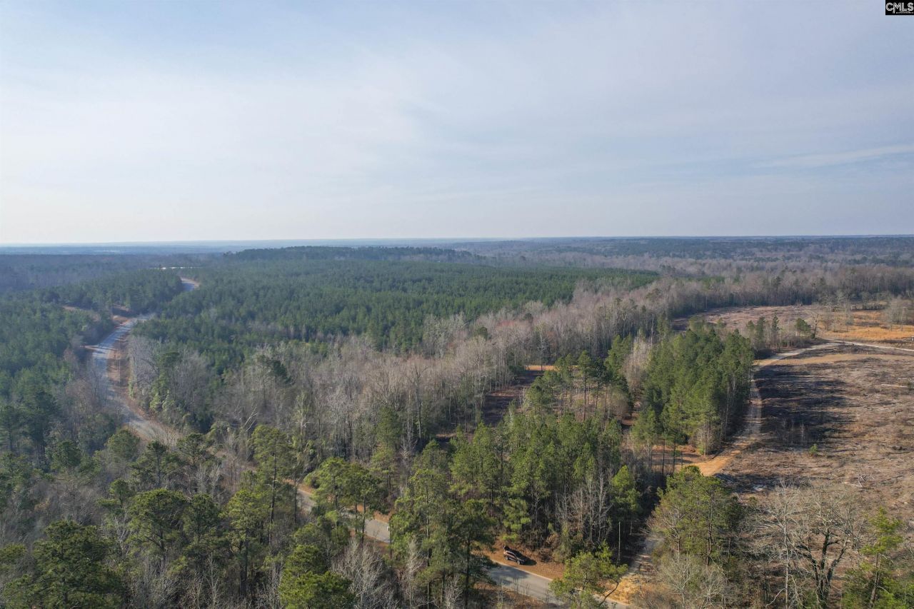 703 Neds Creek Road  Photo 18