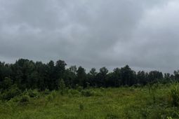 703 Neds Creek Road  photo 4