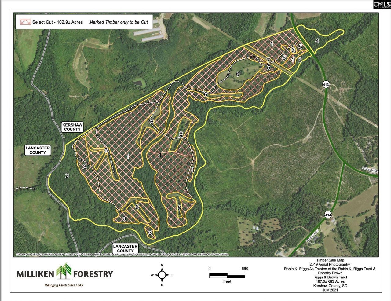 703 Neds Creek Road  Photo 21