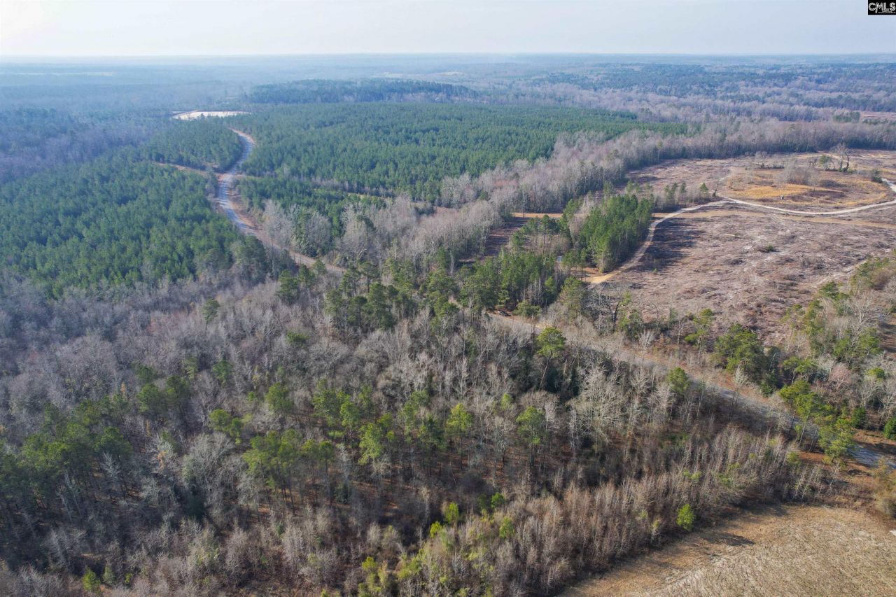 703 Neds Creek Road  Photo 22