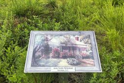 703 Neds Creek Road  photo 4