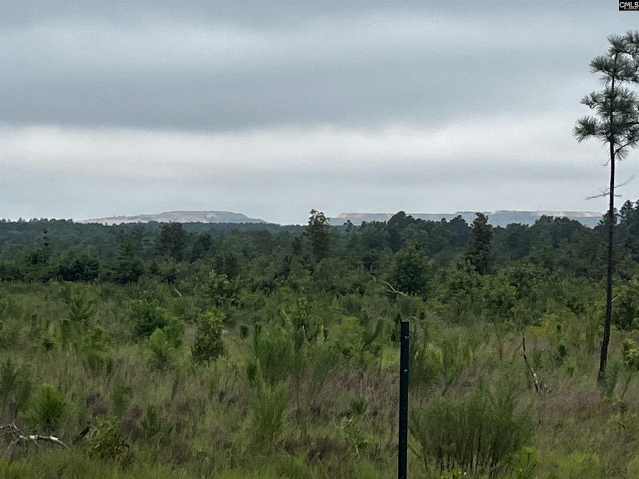 703 Neds Creek Road  Photo 4