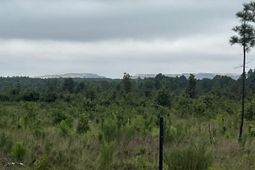 703 Neds Creek Road  photo 4