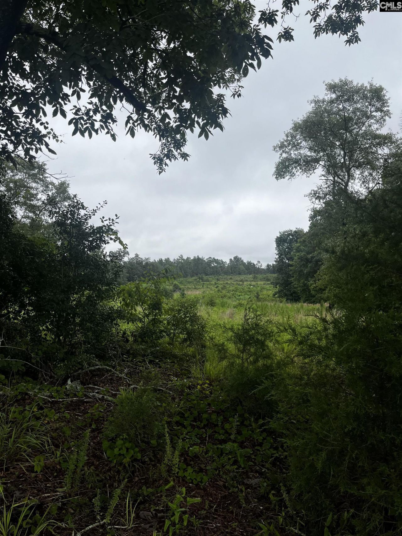 703 Neds Creek Road  Photo 5