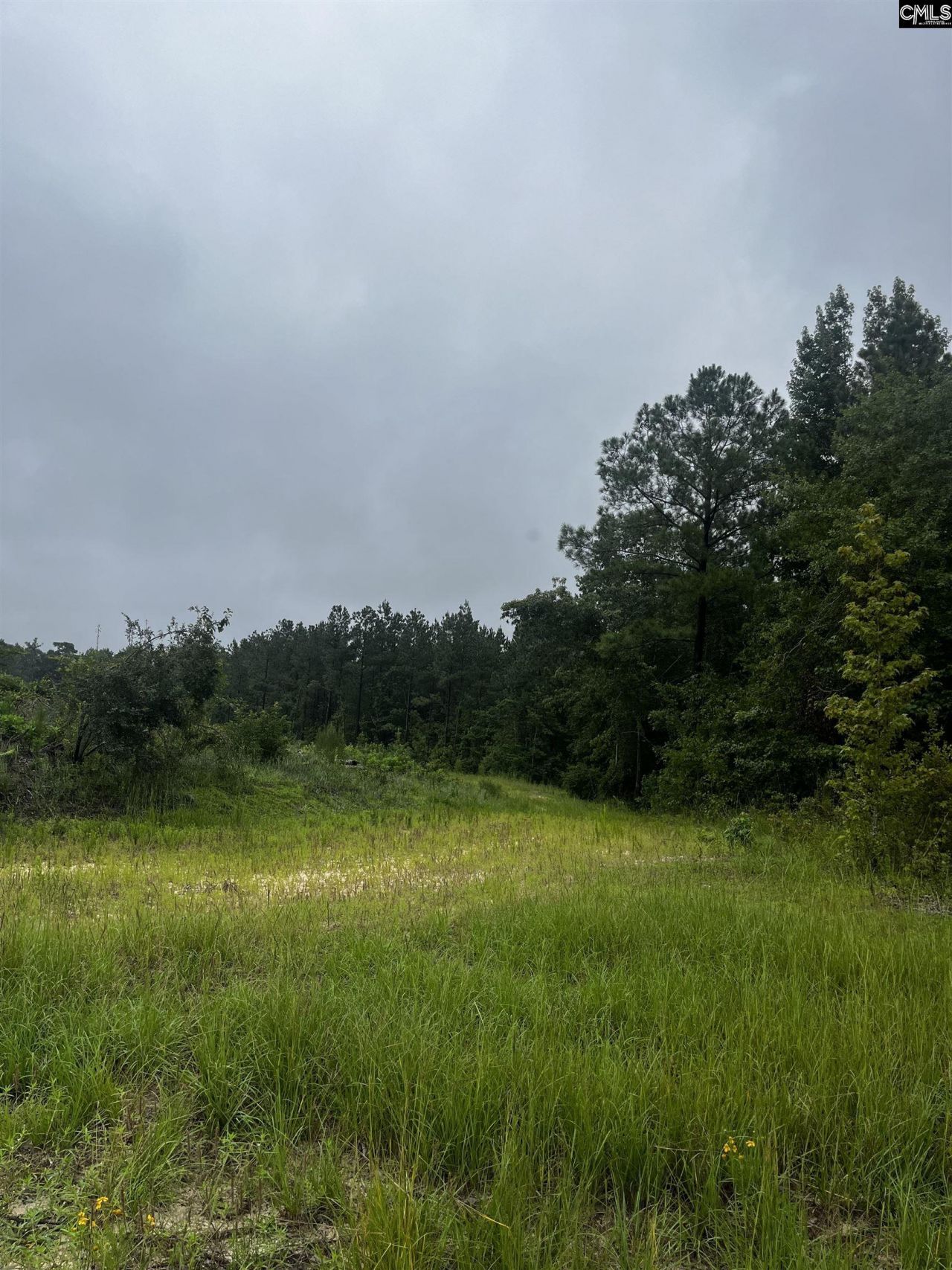 703 Neds Creek Road  Photo 7