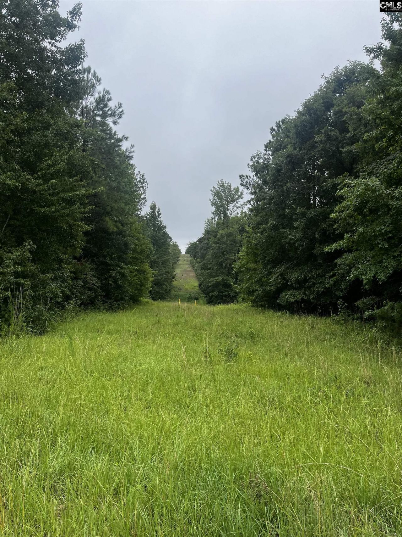 703 Neds Creek Road  Photo 8