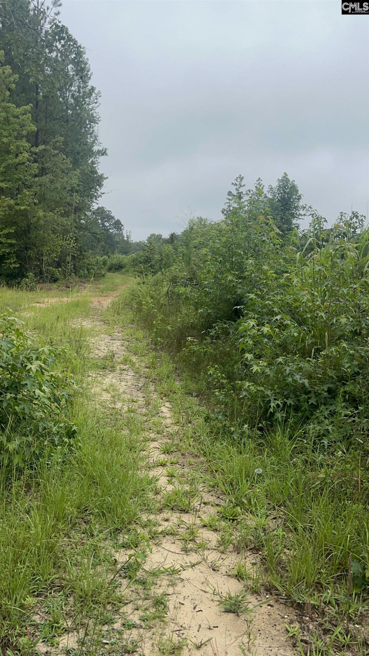 703 Neds Creek Road  Photo 9