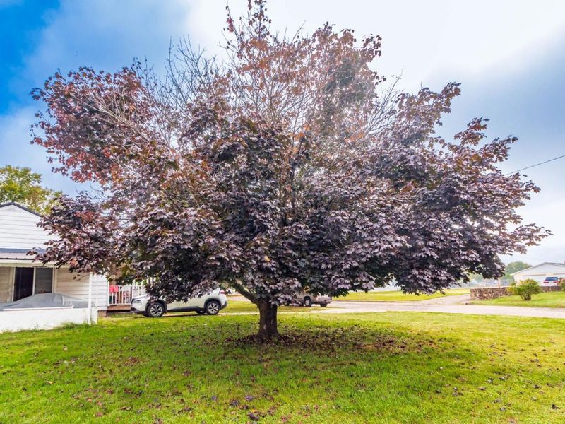 109 S Mullins Street, Waverly, OH 45690 Photo 3