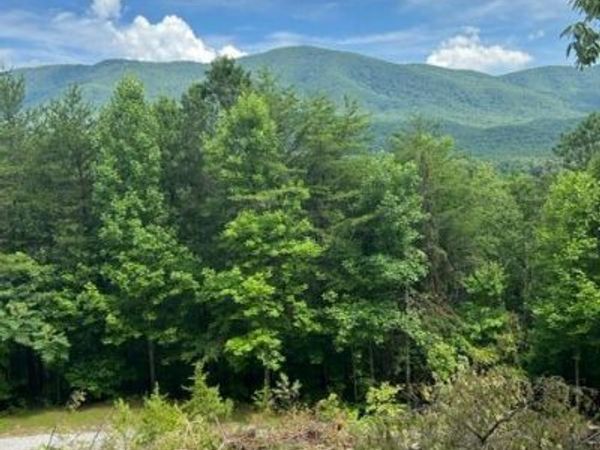 000 Smithfiled Rd, Tellico Plains, TN 37385