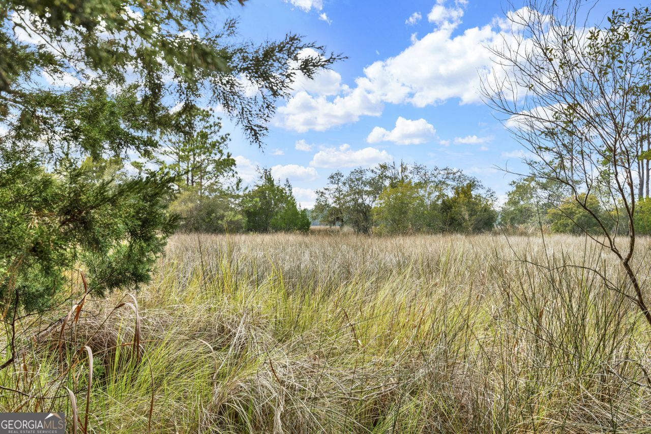 187 Burton Road, Savannah, GA 31405 Main Photo