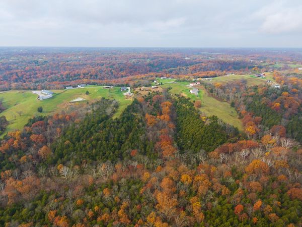 15711 Pfanstiehl Road, Demossville, KY 41033