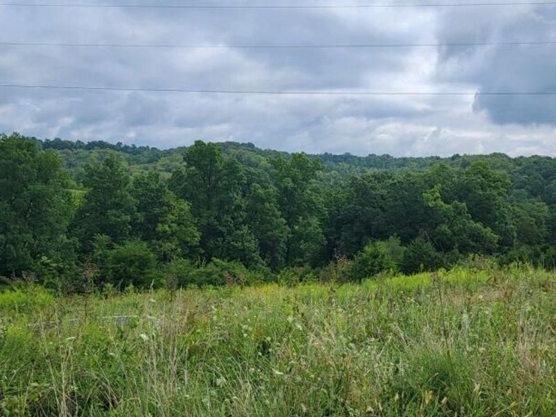 15711 Pfanstiehl Road, Demossville, KY 41033 Photo 15
