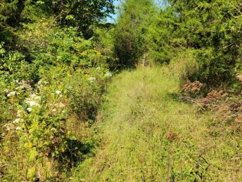 15711 Pfanstiehl Road, Demossville, KY 41033 Photo 17