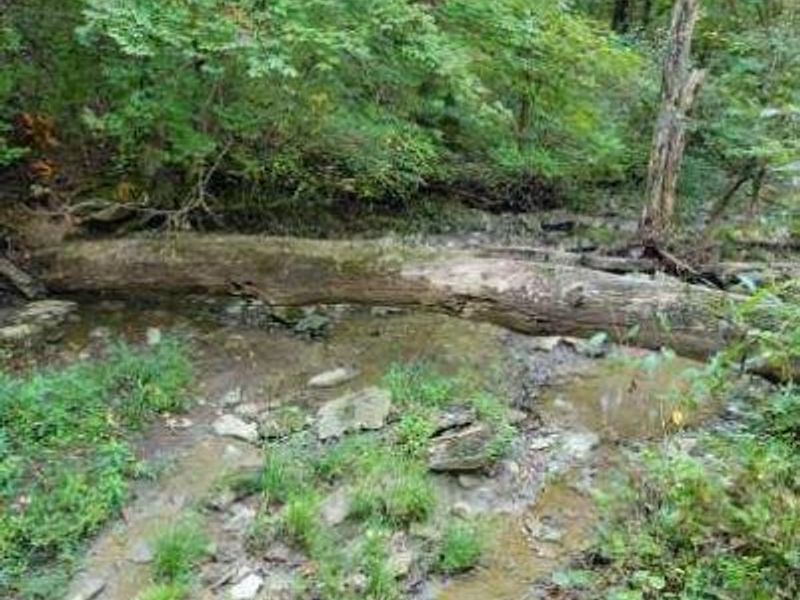 15711 Pfanstiehl Road, Demossville, KY 41033 Photo 3