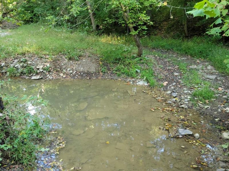 15711 Pfanstiehl Road, Demossville, KY 41033 Photo 3
