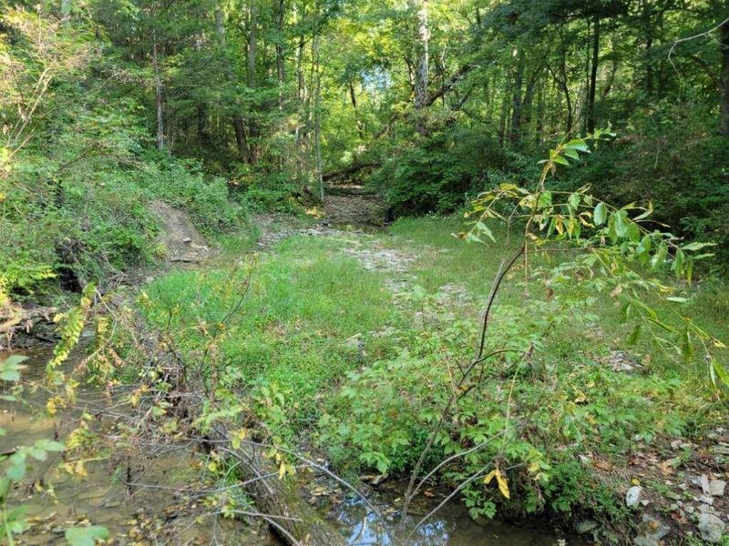 15711 Pfanstiehl Road, Demossville, KY 41033 Photo 9