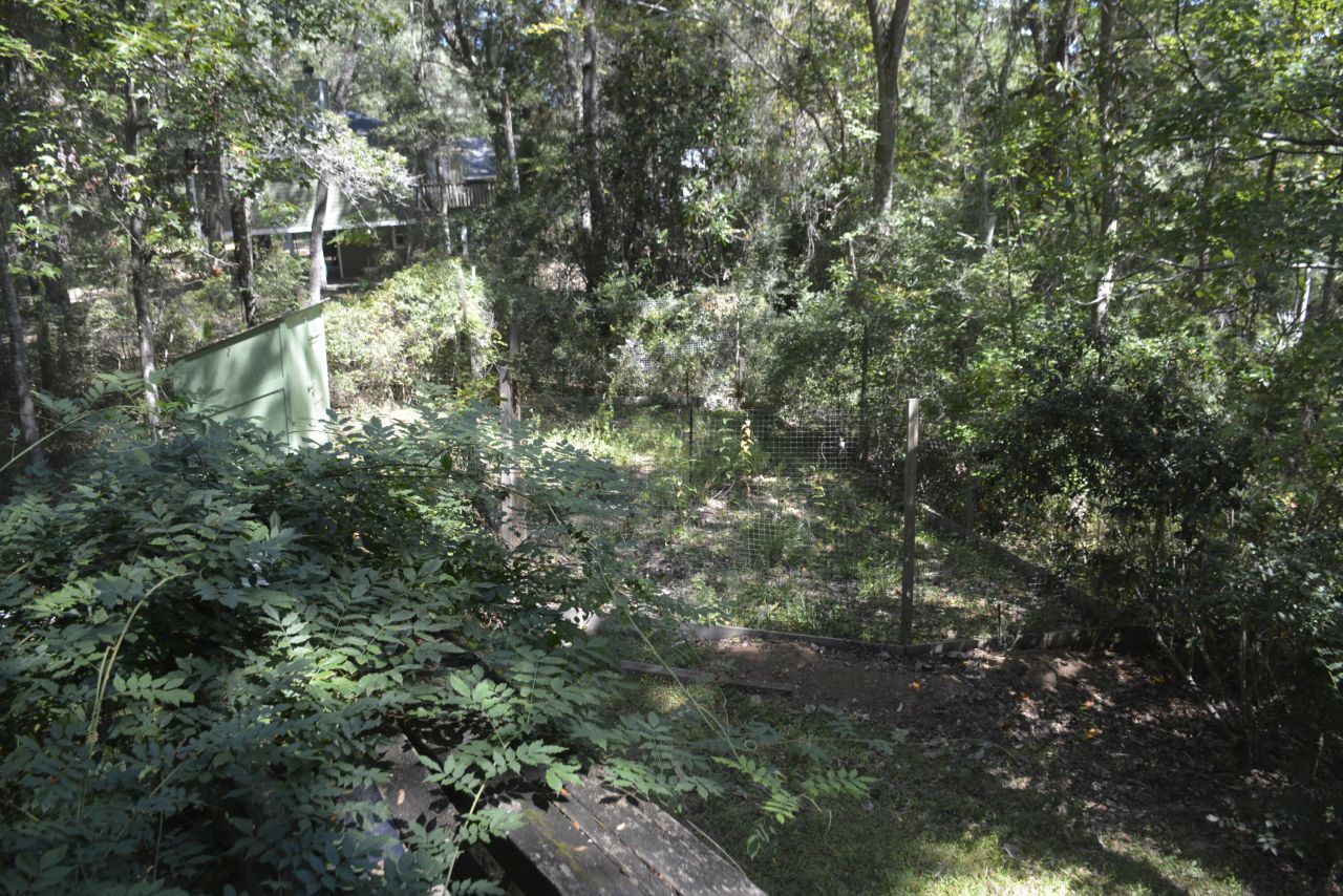 1042 Highway 174 Photo 55