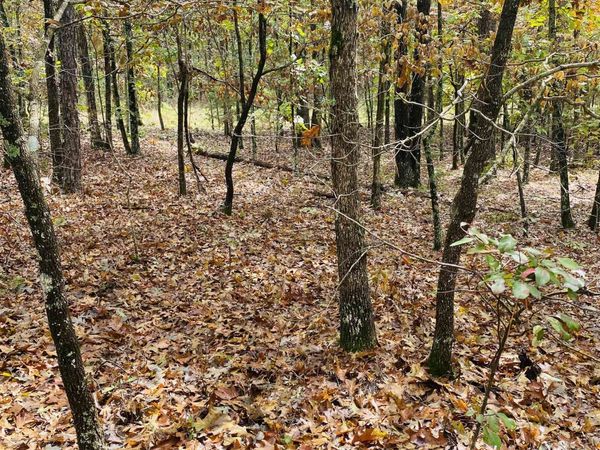 150 Lofton Road, Calico Rock, AR 72519