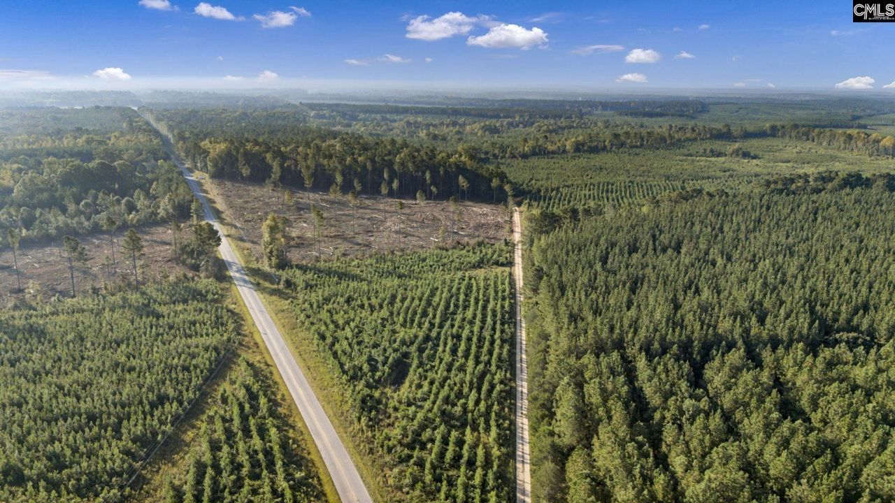 0 Fruit Hill Road  Photo 10