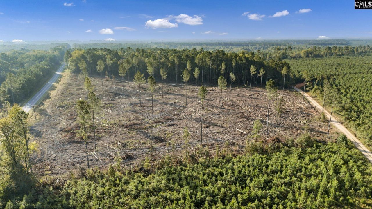 0 Fruit Hill Road  Photo 11