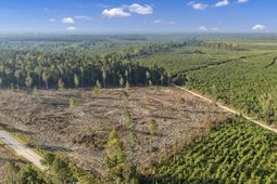 0 Fruit Hill Road  photo 4