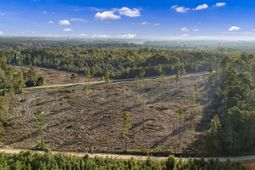 0 Fruit Hill Road  photo 4