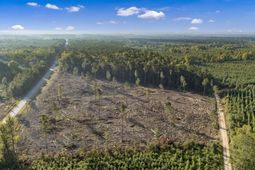 0 Fruit Hill Road  photo 4