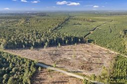 0 Fruit Hill Road  photo 4