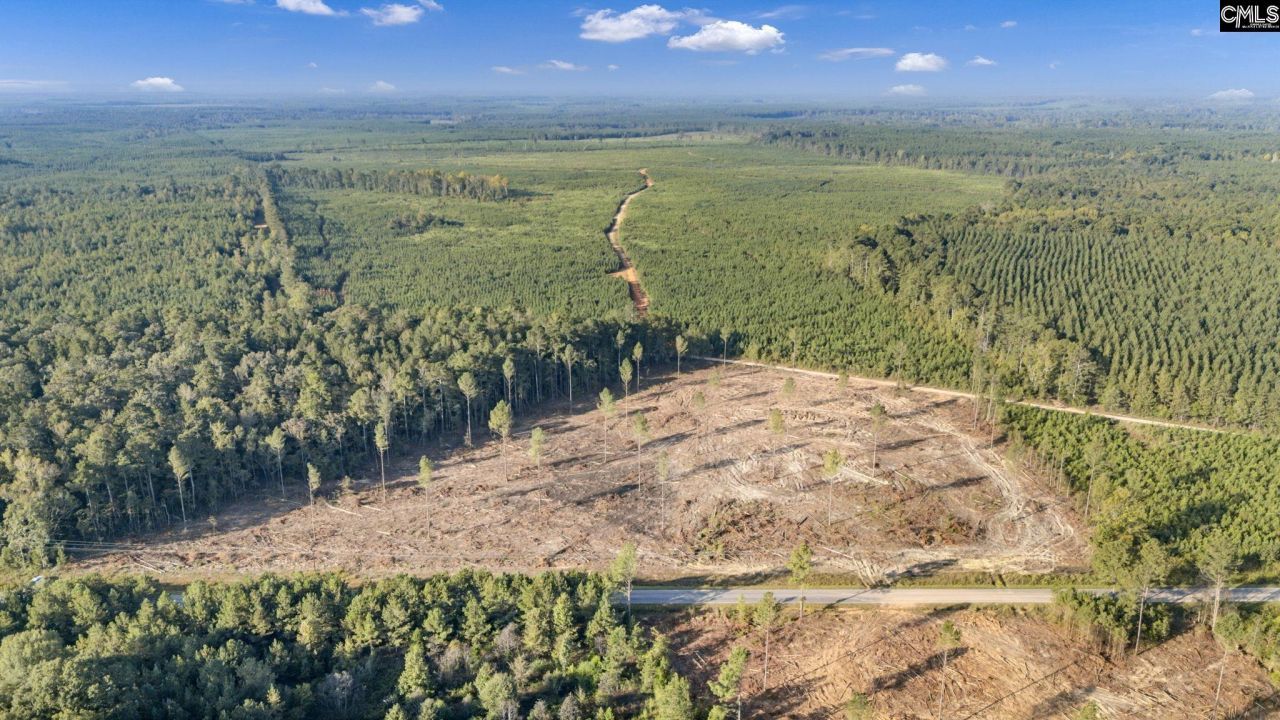 0 Fruit Hill Road  Photo 6