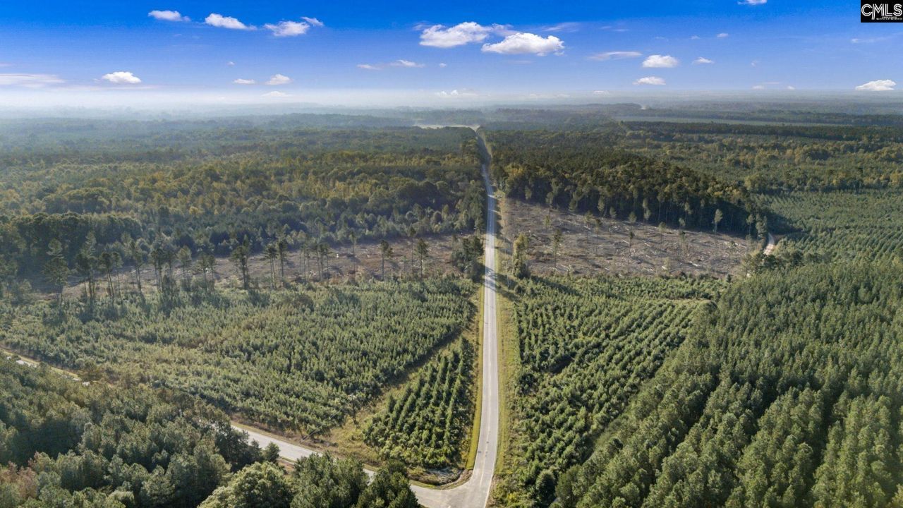 0 Fruit Hill Road  Photo 9