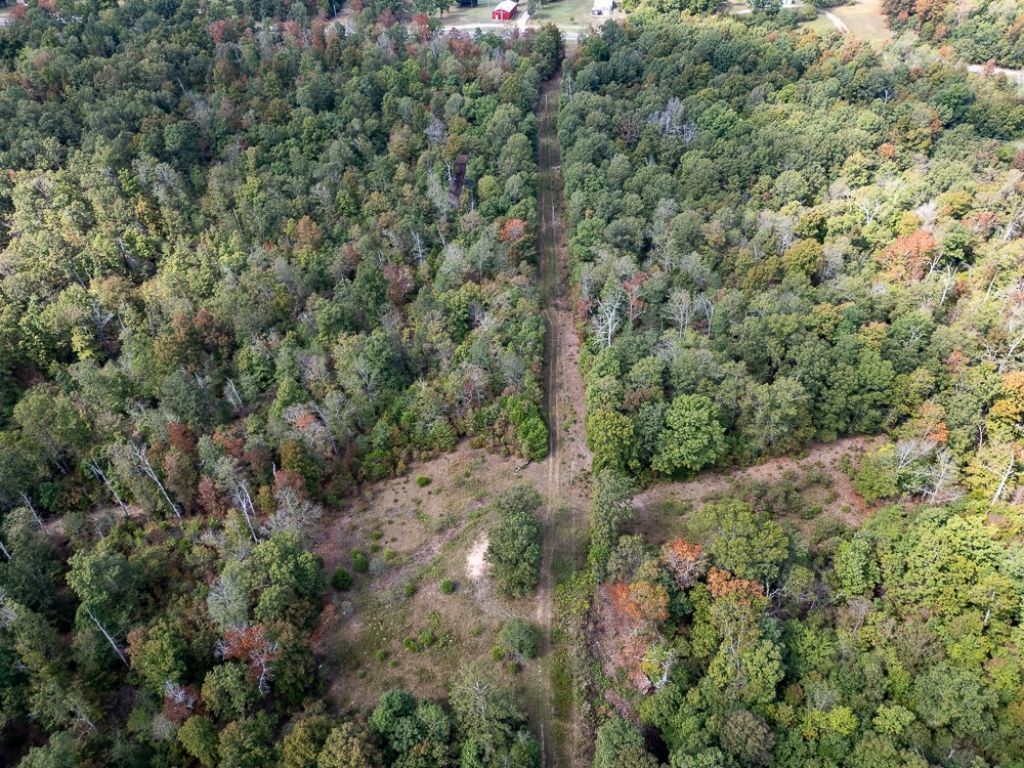 12958 Highway 63, Hardy, AR 72542 Main Photo