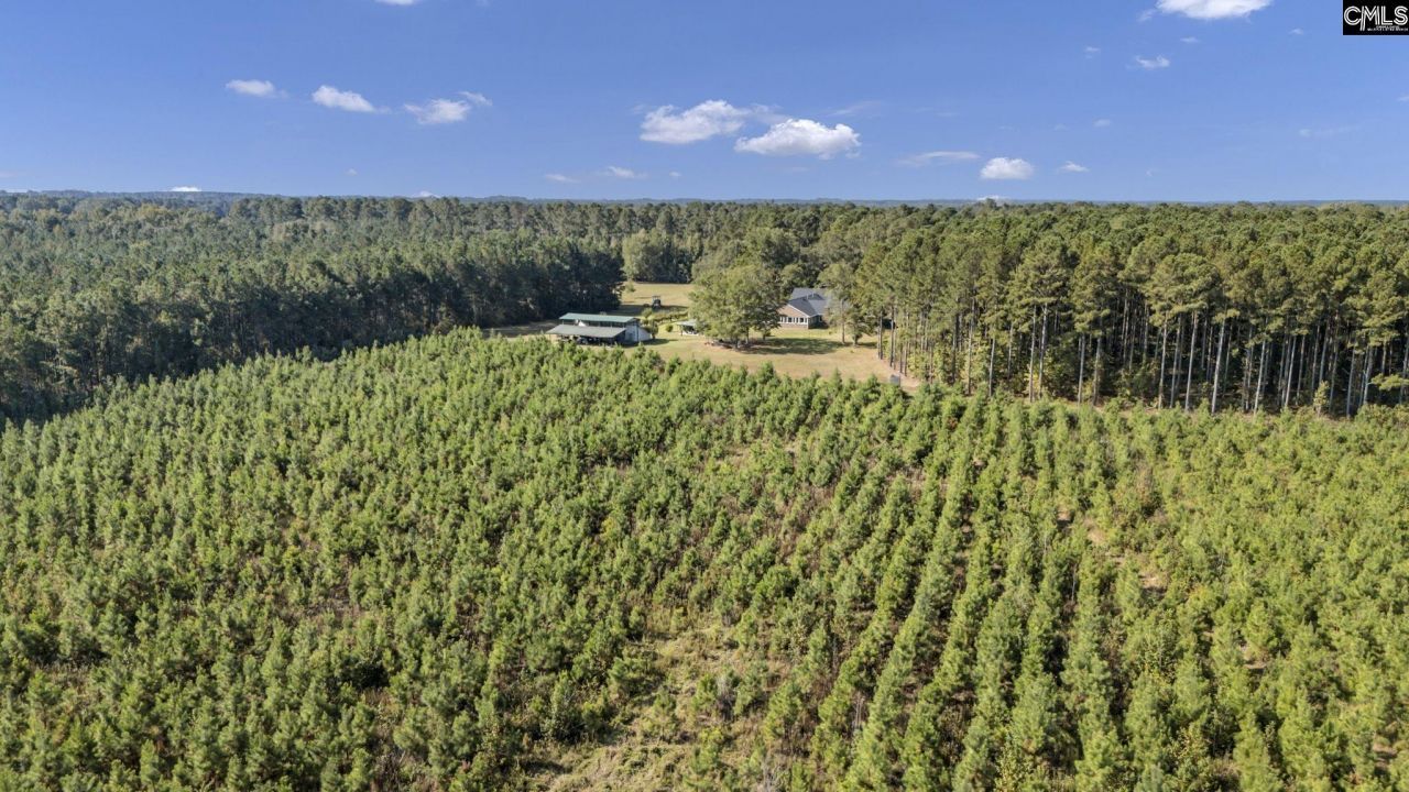 187 Peach Tree Street Photo 93