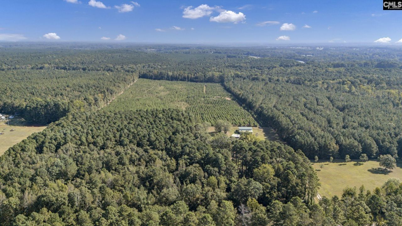 187 Peach Tree Street Photo 95