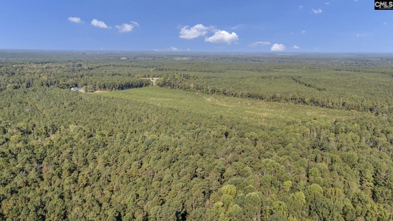 187 Peach Tree Street Photo 98