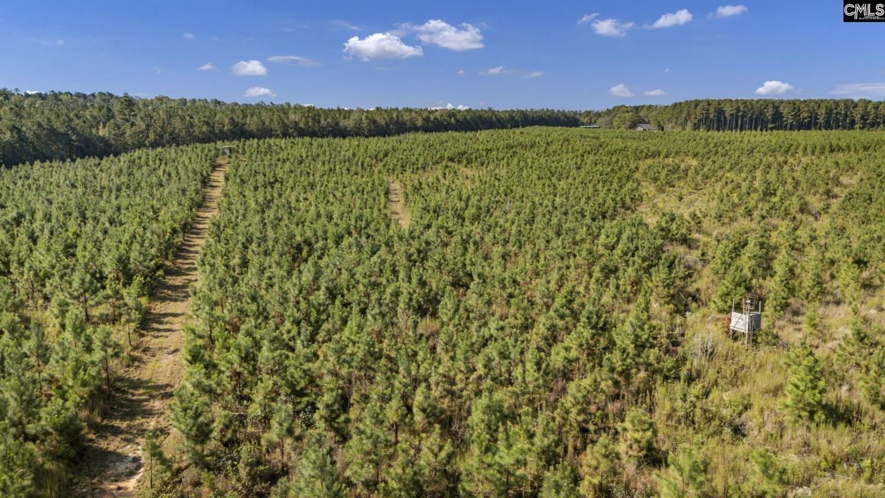 187 Peach Tree Street Photo 99