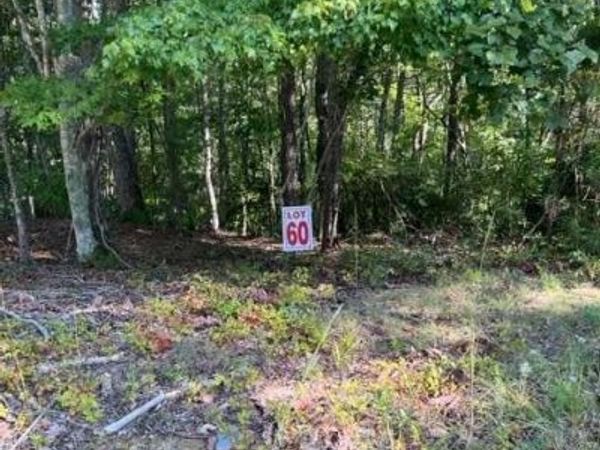 LT 60 Honeysuckle Way, Ellijay, GA 30540