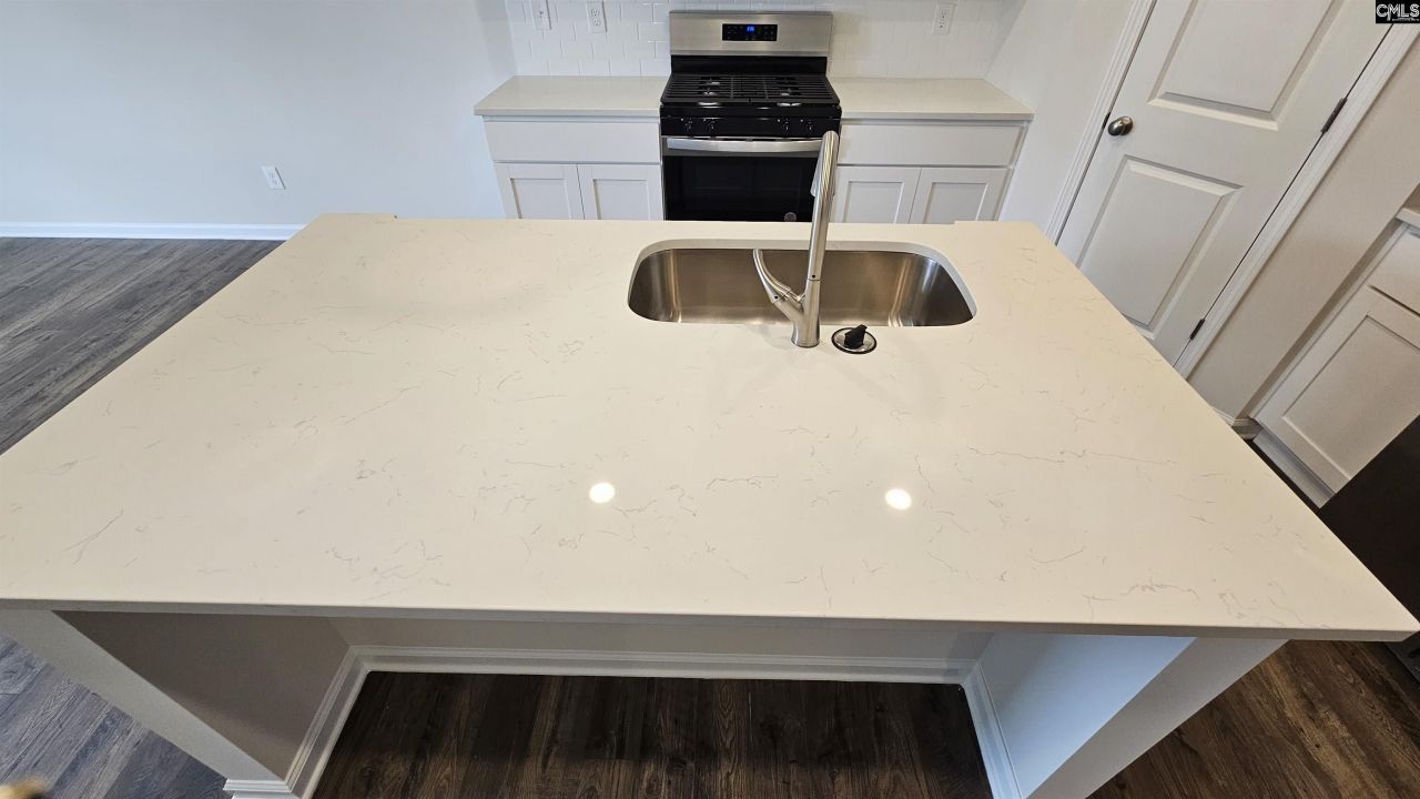 273 Sunny Hill Drive Photo 24