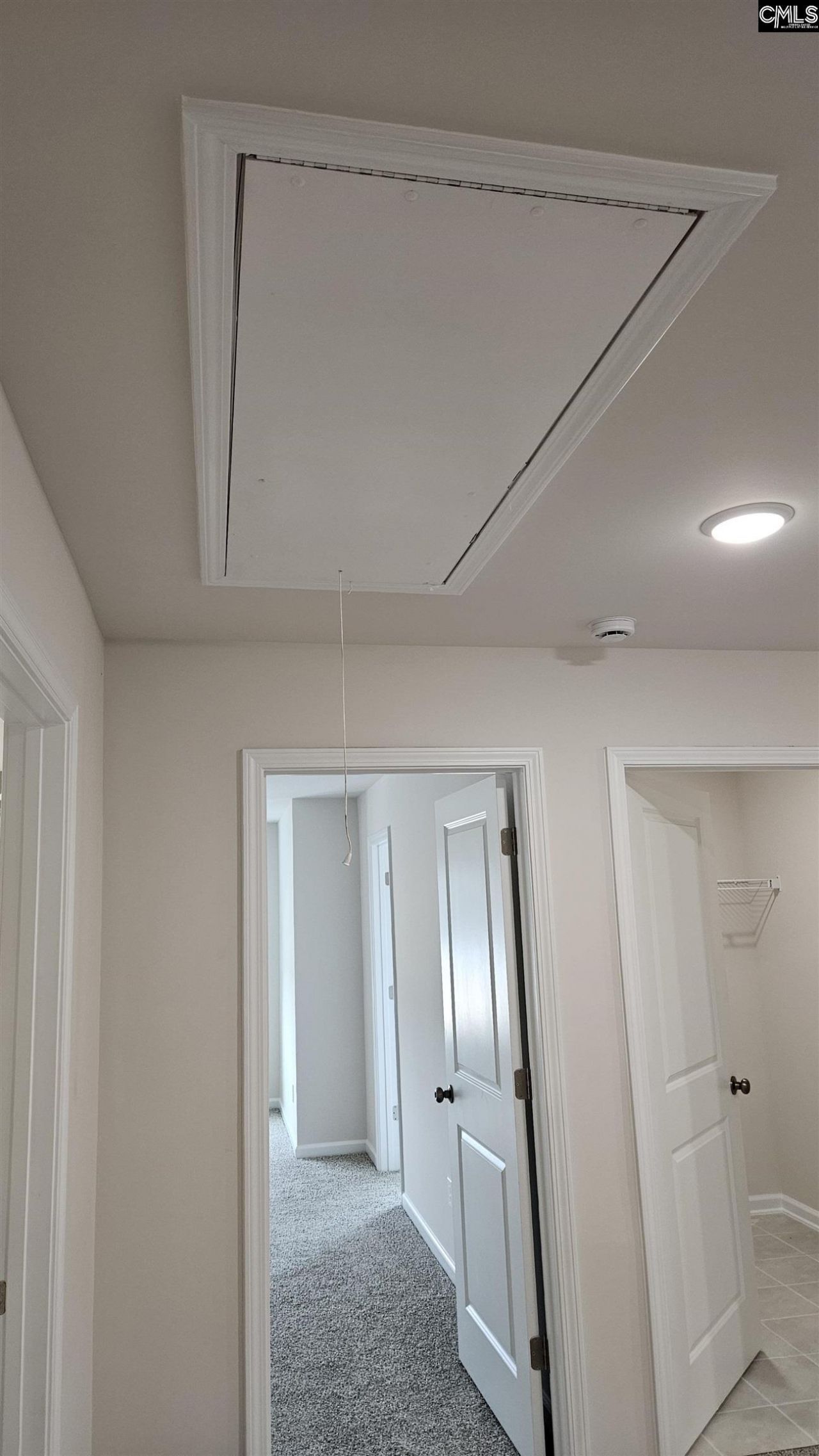 273 Sunny Hill Drive Photo 65