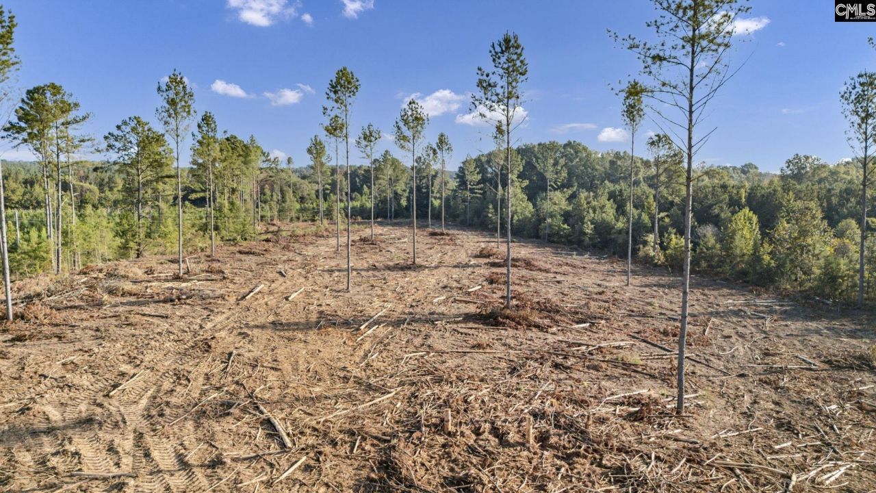 0 Fruit Hill Road Photo 4